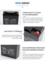 Pack de batteries au lithium Neata OEM (12 V, 24 Ah, LiFePO4) comme remplacement pour les batteries SLA de 12 V