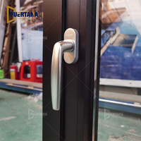 Fenêtres et portes de villa personnalisées, en aluminium, robuste, moderne, noir