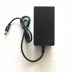 Wall mount AC 100~240V to DC 12V 5A 60W power adapter with DC output connector