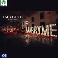 Personnalisé Métal Géant LED Ampoule Lumineux 3D Multicolore Personnages Bar Mariage Scène Plancher Debout Défilement Lumières Voiture