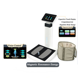 Frequency Therapy Foot <b>Machine</b> Magnetic Wave Foot <b>Massage</b> Health Care Physiotherapy Equipment - Product Image 2