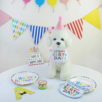 Shengchaoyi chat chien anniversaire écharpe fête bavoir pour animaux de compagnie salive serviette tenue d'anniversaire pour décorations de fête