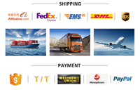 Tarjeta VIP de Metal Personalizable con Grabado Láser, Esquinas Redondeadas, Aluminio Repujado, Inteligente, de Acero Inoxidable, con NFC, para Regalo Empresarial