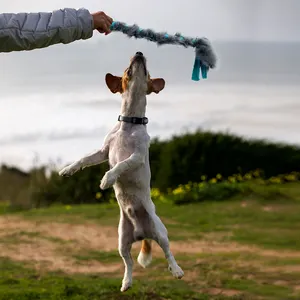 Interaktives starkes Hundes chlepper Spielzeug Bungee Griff Hund Plüsch tier Langlebiges buntes Bungee Griff Craft Dogs Chew Toys