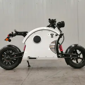 Motosiklet elektrikli kalın tekerlekli bisiklet 1000w serin görünüm çin'de yapılan ucuz fiyat sokak E yavru bisiklet motosiklet