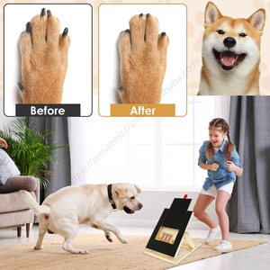 Jouet interactif pour chien, nouveau modèle 2025, en gros, planche à gratter en bois pliable avec clous - Product Image 3