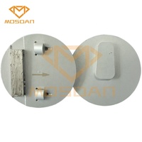 Plaque de meulage diamantée PCD à changement de vitesse rugueux Redi Lock de 3 pouces pour l'enlèvement de revêtement