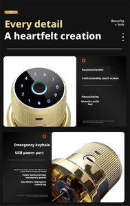 TTLock Zinc Alloy Smart <strong>Door</strong> Lock Fingerprint Password Electronic Lock for Indoor Aluminum <strong>Doors</strong> Cloud Replacement <strong>Knob</strong> Lock - Product Image 4