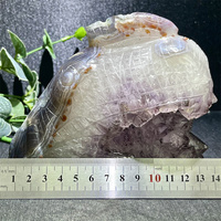 Pierre de cristal naturel Améthyste Géode Agate Grappe Animal Requin Sculpture Artisanat Ornement