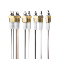 Varilla doble 1 "1/4" Rosca NPT Sensor de sonda de electrodo de nivel de agua de alta temperatura para vapor de caldera