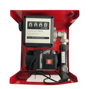 12/24V/240V DC/AC电动转鼓泵汽油柴油燃油 - Product Image 2