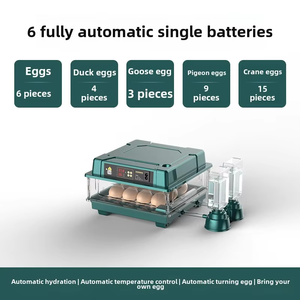 Meilleur <span class=keywords><strong>Prix</strong></span> Couveuse à Œufs Électrique Entièrement Automatique Facile à Utiliser, Mini Incubateur de 15/30/48/70/130 Pièces de Capacité pour 48 Œufs de Poule ou de Caille - Product Image 4