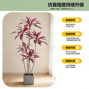 Plante artificielle Cordyline Bonsai Dream Castle 30-100cm, décoration pour salon ou bureau - Product Image 3