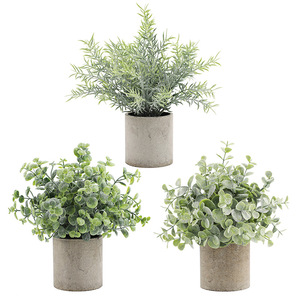 QSLH-VF270 Pack 3 <span class=keywords><strong>En</strong></span> <span class=keywords><strong>Pot</strong></span> Feuilles D'<span class=keywords><strong>eucalyptus</strong></span> Artificielles <span class=keywords><strong>Mini</strong></span> plantes <span class=keywords><strong>En</strong></span> <span class=keywords><strong>Pot</strong></span> artificielle décor - Product Image 1
