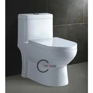 Sanitär ware Wasser klosett/WC (CY1820NP) Ghana Wc Toilette Badezimmer Toilette