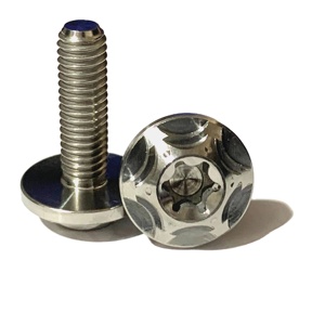 Tornillo de Cabeza Hexagonal Métrico M5 x 12 mm, Tornillo de Titanio GR5 con Acabado Liso, 2 Tuercas para Ensamblaje Industrial - Product Image 5