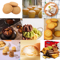 Machine à fabriquer des biscuits multifonctionnelle personnalisée, machine à fabriquer des biscuits, déposeuse de biscuits