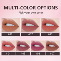 Emballage personnalisé OEM, gloss à lèvres liquide à base de plantes, imperméable, gloss à lèvres personnalisé longue durée, gloss à lèvres brillant pour la rebranding, 7 couleurs