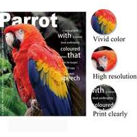 Papier photo A4 haute brillance en gros 180 g/m² 200 g/m² 300 g/m² Impression laser Mat Photographique Compatible avec l'impression jet d'encre