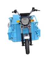 Triciclo Eléctrico para Discapacitados sin Barreras con Rampa para Usuarios de Sillas de Ruedas, Scooter de Movilidad de 3 Ruedas con Batería para Personas con Discapacidad