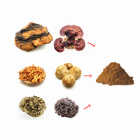 6 1 poudre de mélange de superaliments de qualité alimentaire extrait de champignon puissant Lions Mane Reishi Cordyceps Chaga queue de dinde Maitake eau