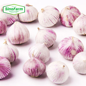Export di alta qualità fresco viola bianco singolo spicchio aglio Solo aglio aglio solitario all'ingrosso - Product Image 1