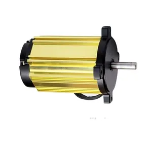 Fornecimento de Casa contemporânea Aparelho dourado 240v elétrica do motor de popa do motor