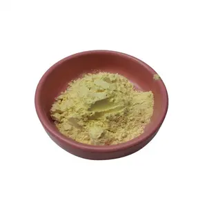 Poudre d'extrait de racine de gingembre de haute qualité 5% gingerol