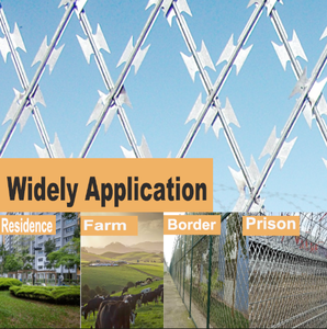 Cerca de Alambre Galvanizado Soldado para Seguridad en Prisiones y Cárceles Europeas - Product Image 2