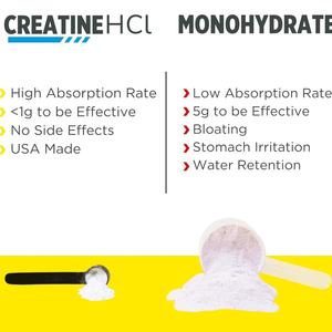 Creatina HCl Herbal de Alta Calidad, Extractos de Plantas, Apoyo Inmunológico y Salud del Corazón para Hombres y Mujeres, Suplementos de Creatina HCl - Product Image 2