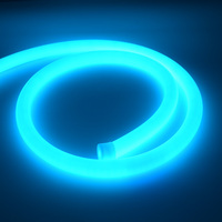 Ruban LED flexible en silicone IP67 à 360 degrés, CRI90, garantie 3 ans, diffuseur néon pour aménagement paysager
