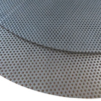 Tôle d'acier inoxydable microperforée Tôle métallique perforée