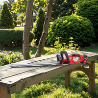 Outils de jardinage de vente de liquidation B2B Taille-haie à perche sans brosse avec deux batteries Li-ion Taille-haie sans fil Machine LDG01