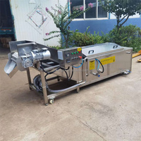 Elektrische Stoomverwarming Fruit En Groente Blancheermachine Pinda Aardappel Cassave Rivierkreeft Oranje Mango Blancheermachine