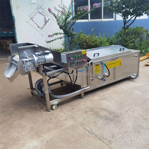 Elektrikli buhar ısıtma meyve ve sebze haşlama makinesi fıstık patates manyok gıda kerevit turuncu mango haşlama makinesi - Product Image 6