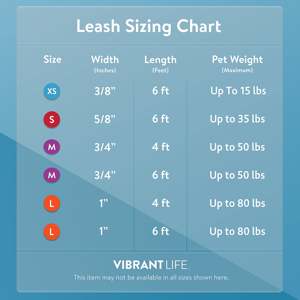 Vibrant Life Laisse pour chien en polyester solide de 6 pieds, rose-pour chiens de taille moyenne et grande - Product Image 5