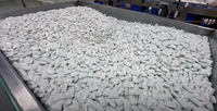 Chewing-gum sans sucre personnalisé avec logo/arôme, à la menthe/xylitol, à la saveur fruitée, halal, avec centre liquide, à base de confiture