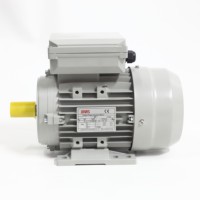 Moteur en cuivre pur série ML100L2-4 de haute qualité, monophasé à démarrage par condensateur, CE ISO, boîtier en aluminium pour pompes et ventilateurs