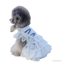 Jupe de princesse personnalisée en gros pour animaux de compagnie – Nouveau design, confortable, élégante, robe de mariée OEM en polyester classique