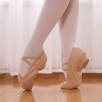 BW08 Chaussures de danse à talons souples pour femmes, chaussures de danse folklorique classique professionnelles pour adultes, chaussures d'entraînement pour professeurs de danse