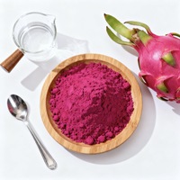 Poudre de fruit du dragon rouge naturel de la meilleure qualité, qualité alimentaire, extrait de fruit de pitaya séché par pulvérisation, emballage en fût, vente en gros