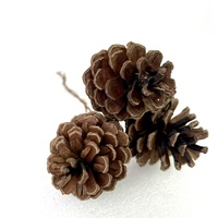 Großhandel DIY Home Decoration Naturholz Tannenzapfen hängen Baum Gold Silber getrocknete Blumen Pflanzen Schöne Abschluss feier