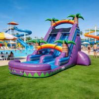 Toboggan aquatique gonflable sur le thème du paradis tropical, piscine à jets d'eau, équipement de jeu pour enfants, aventure sur l'île, qualité commerciale, respectueux de l'environnement