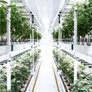 Système de serre automatique en conteneur maritime pour la propagation de semis de chanvre et la production d'herbes aromatiques - Product Image 3