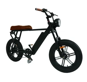 48V中国のElektrische Fiets Long Yeah EモーターバイクEbikeスクーター電動自転車ペダル付きEUアメリカ用