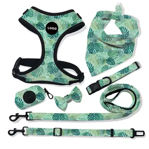 pet harness sets low MOQ dog harness and leash stocked pet accessories