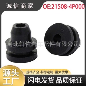 Buje con Brida 21508-4P000 Eje de 16 mm Longitud de 30 mm para Nissan Navara Leaf Pathfinder - Product Image 5