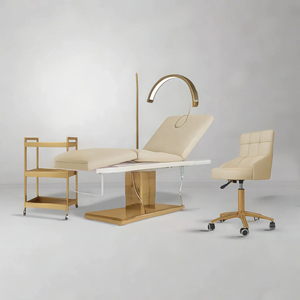 Hôtel Offre Spéciale usine Poids légers Portable Lit de massage Fabricants de couleur Lit facial - Product Image 1