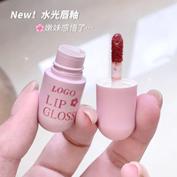 Gloss à lèvres miniature en forme de capsule au design unique, gloss brillant, cosmétiques en vrac, maquillage personnalisé, couleur personnalisée