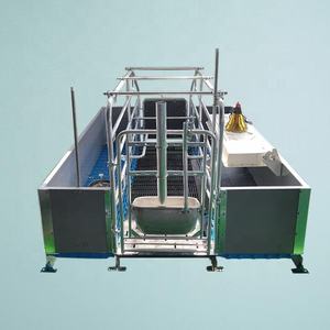 Nuevo Equipo Funcional para Cría de Cerdos, Jaulas de Parto Galvanizadas en Caliente Anticorrosivas, Sistema de Alimentación Totalmente Automático, CE - Product Image 6